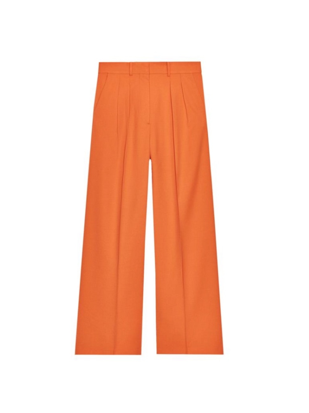 Zara ZW Collection Wide Leg Pleated Pants